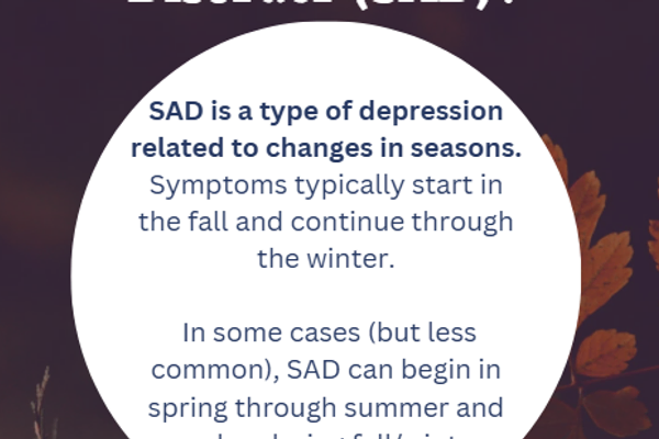 Seasonal Depression Pt. 2/4 (2024)