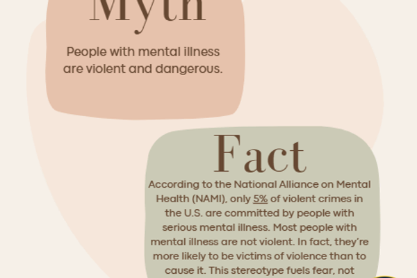 Mental Health Stigma (2025)