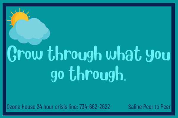 Postcard - Saline (2022)