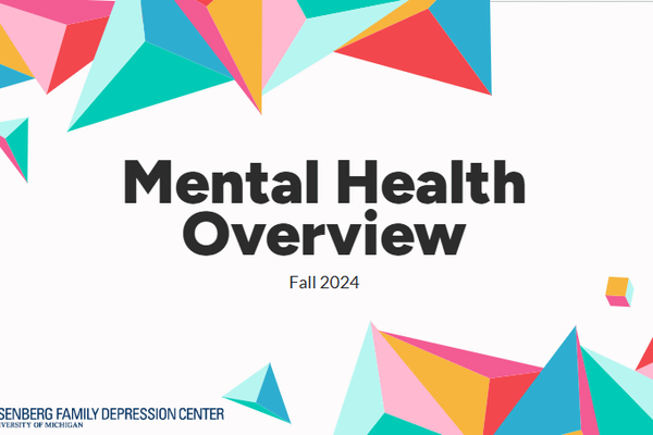2024 - Mental Health Overview
