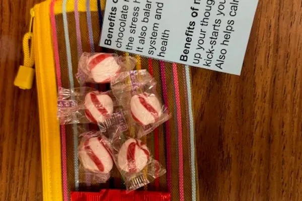 Wellness Influencer - Stout (2024)