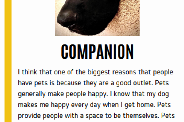 Photovoice - Community (2020)