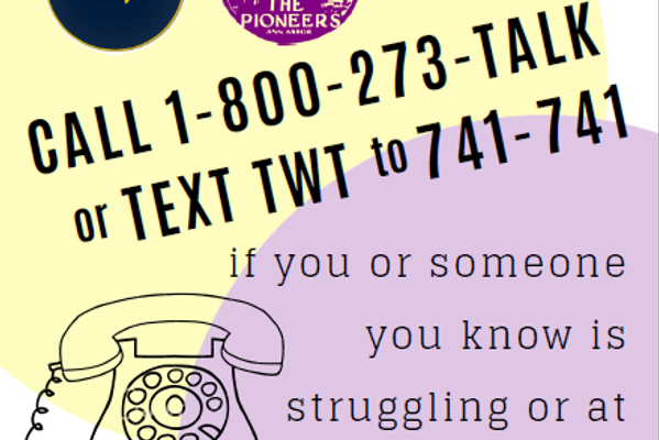 Standard sticker - Pioneer (2019)