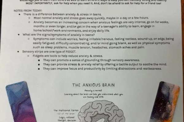 Wellness Influencer2 - Stout (2024)