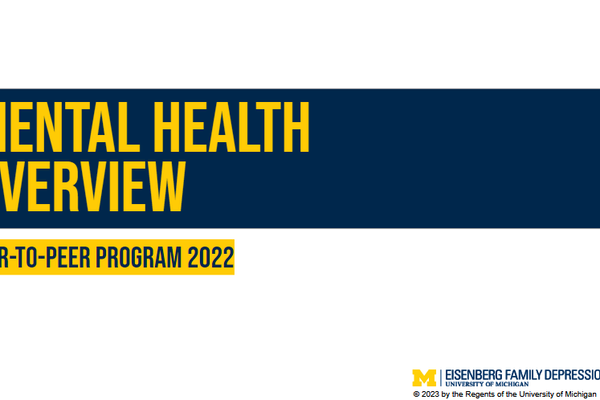 2022 - Mental Health Overview