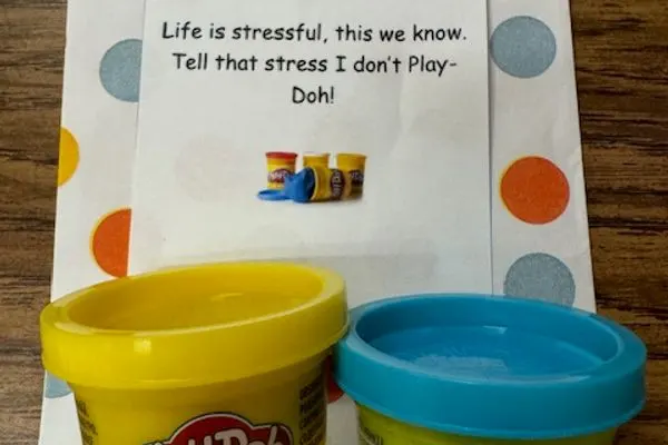 Wellness Influencer3 - Stout (2024)